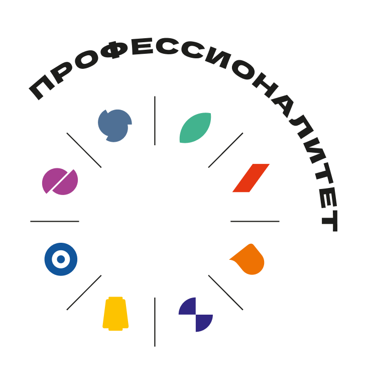 Проект «Профессионалитет»