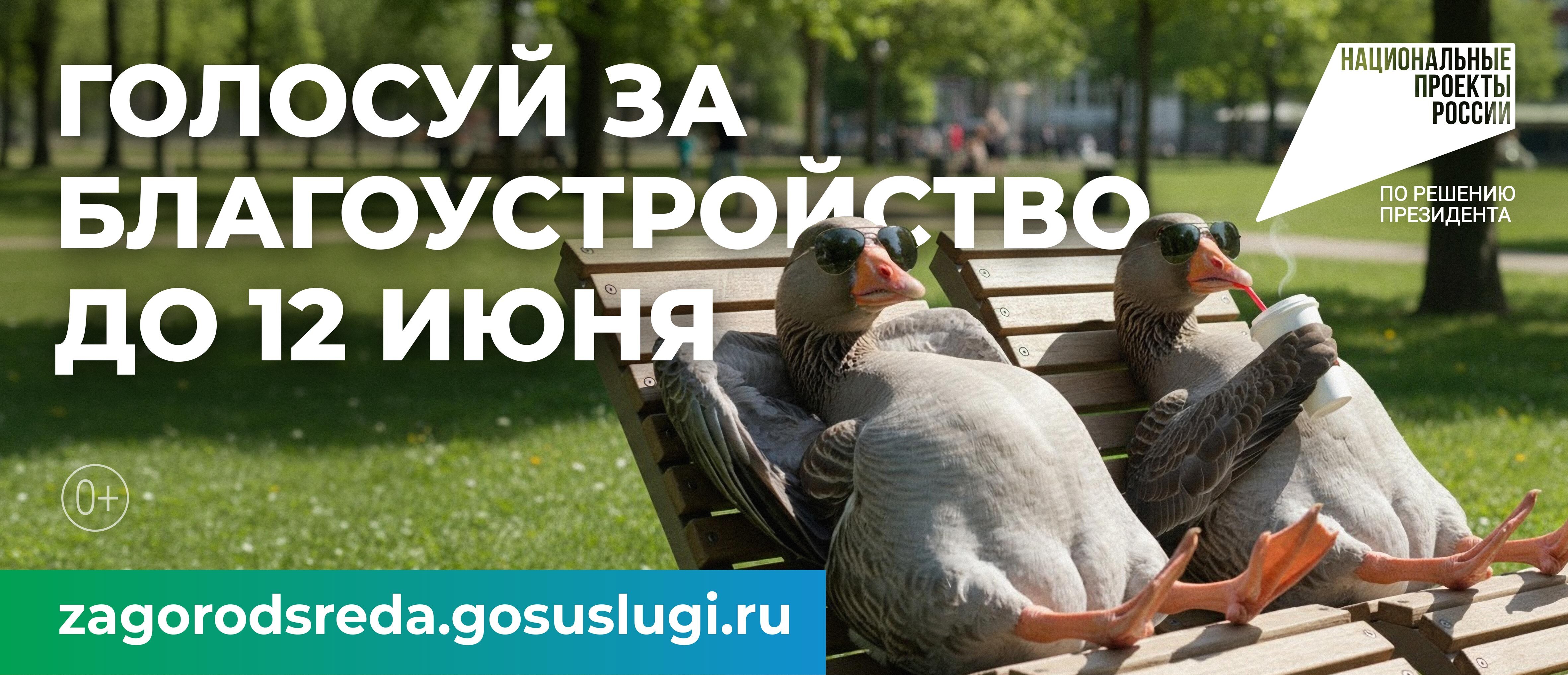 Стартовало голосование за объекты благоустройства: россияне меняют облик своих городов