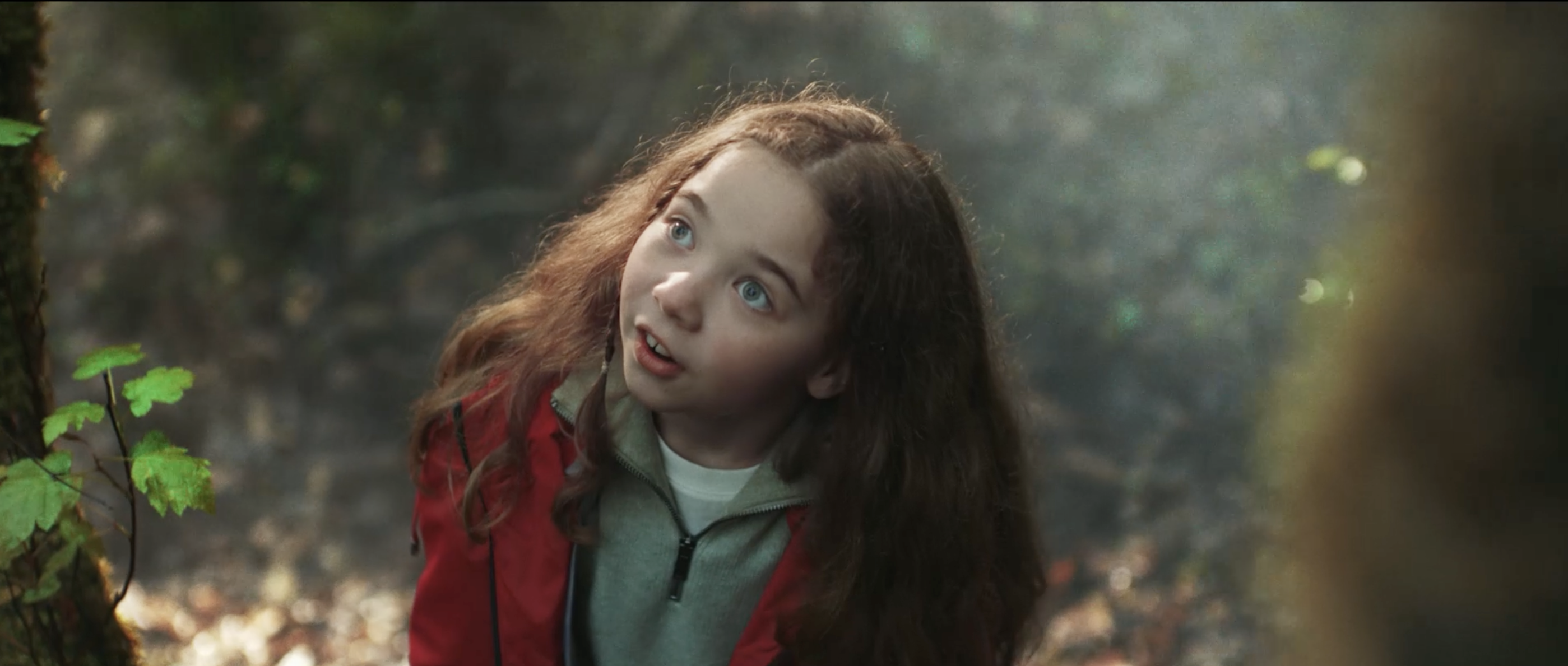 2,6 млн россиян выбрали отдых на заповедных территориях страны в начале 2026 года